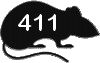 411-rat